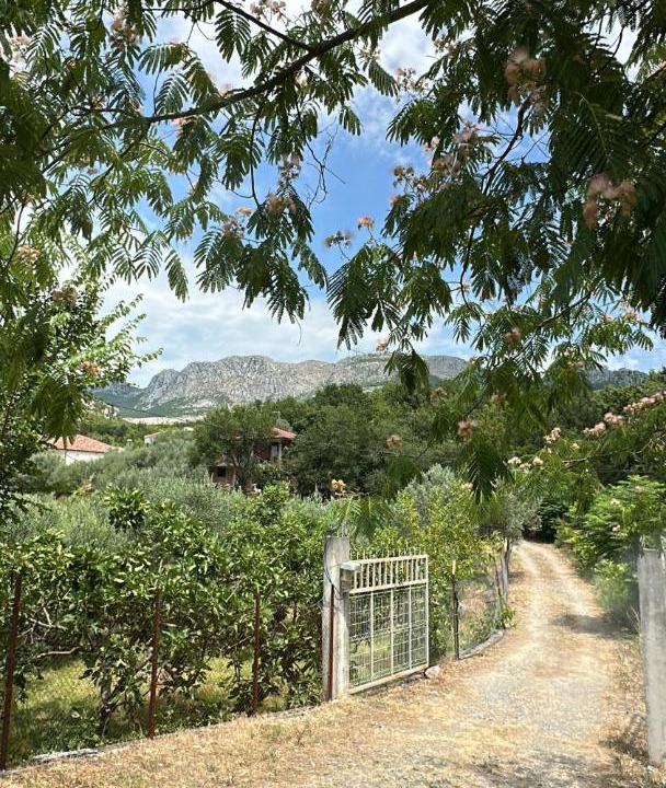 Photo of Others in Sakës