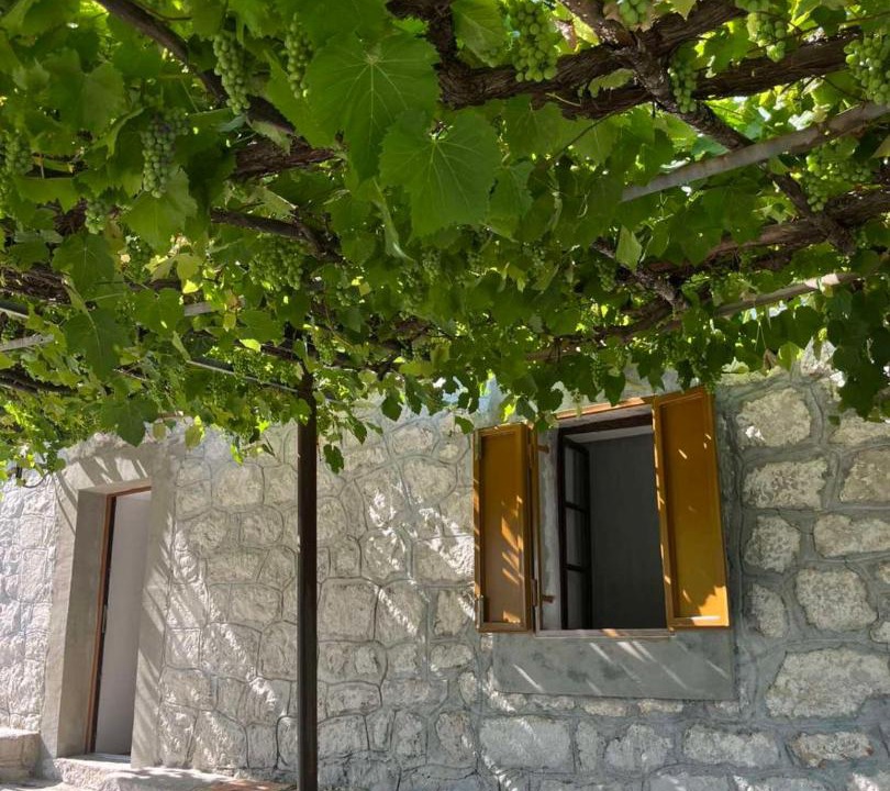 Photo of Others in Niksic Municipality
