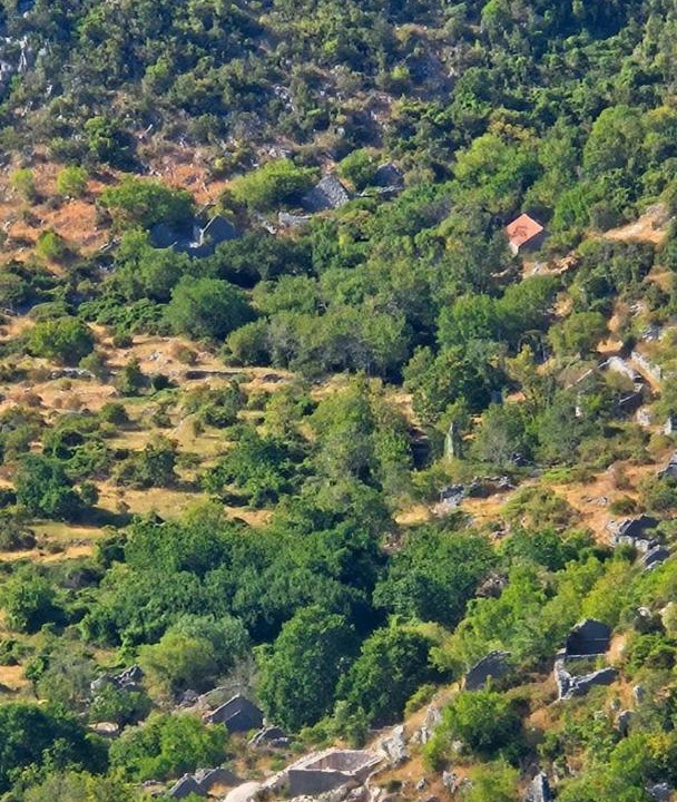 Photo of Others in Kotor