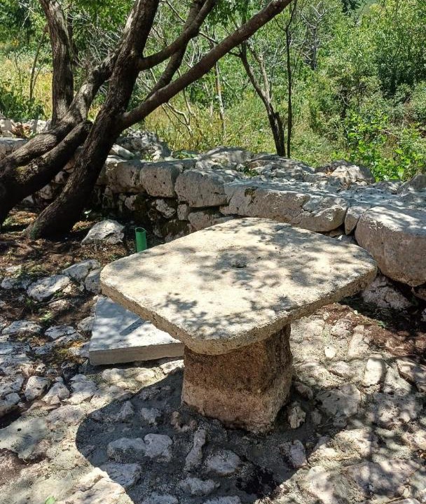 Photo of Others in Kotor