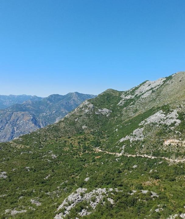 Photo of Others in Kotor