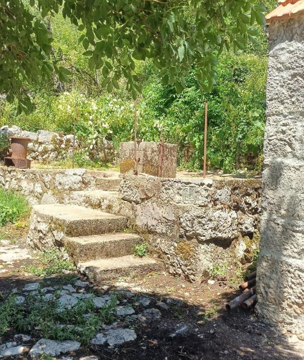 Photo of Others in Kotor