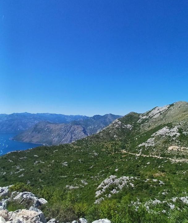 Photo of Others in Kotor