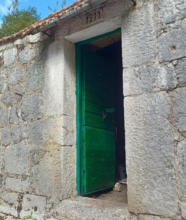 Photo of Others in Kotor