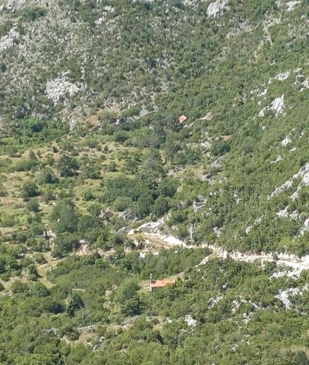 Photo of Others in Kotor