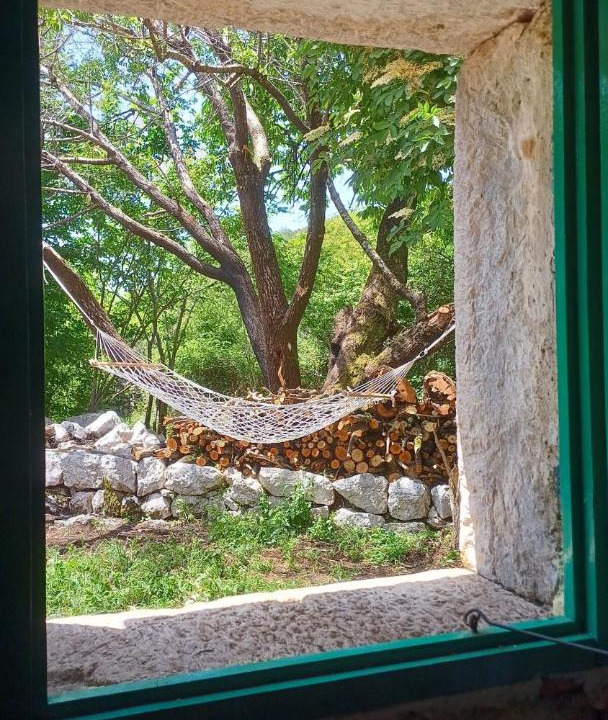 Photo of Others in Kotor
