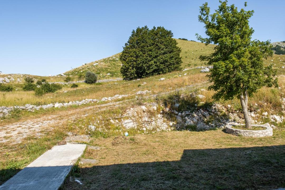 Photo of Others in Cetinje