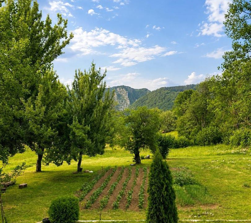 Photo of Others in Kolasin