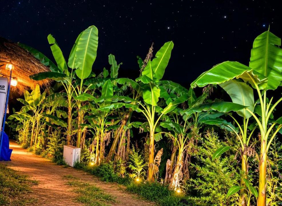 Photo of Others in Borsh