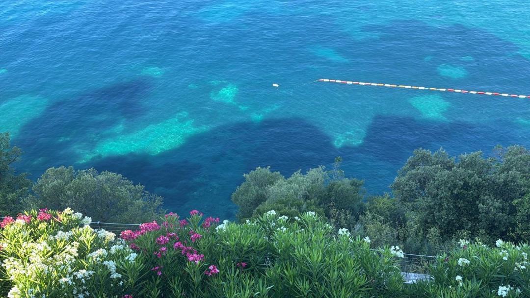 Photo of Others in Budva