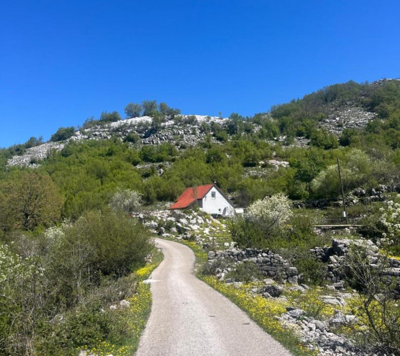 Photo of Others in Cetinje Municipality