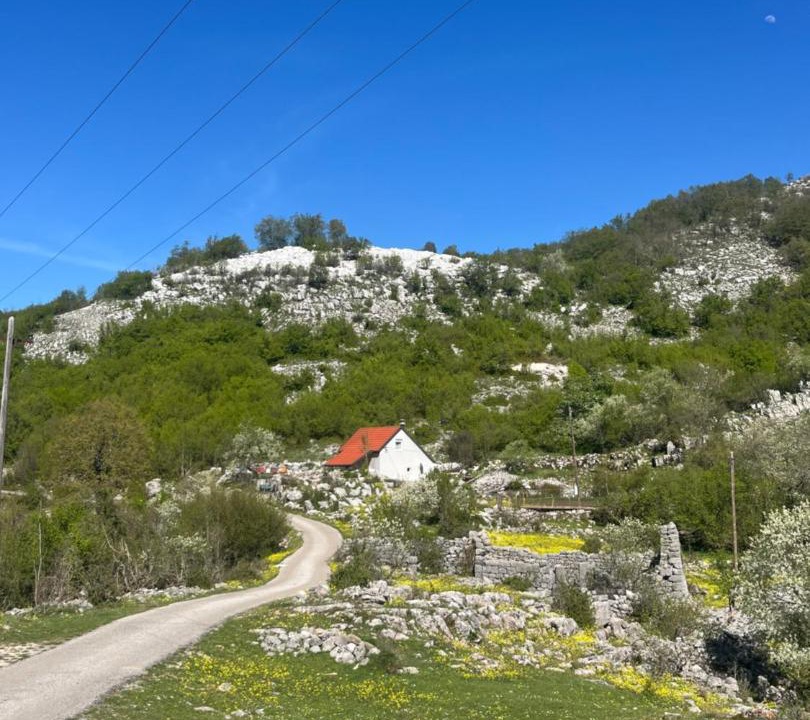 Photo of Others in Cetinje Municipality