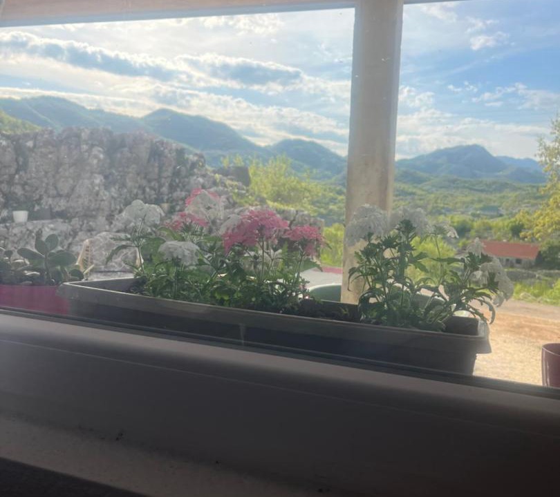 Photo of Others in Cetinje Municipality