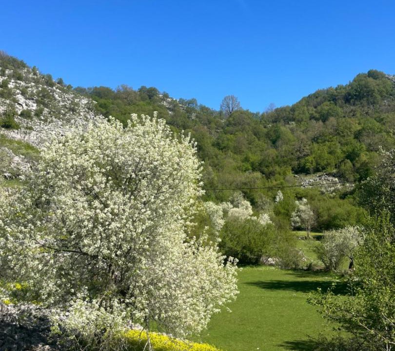 Photo of Others in Cetinje Municipality