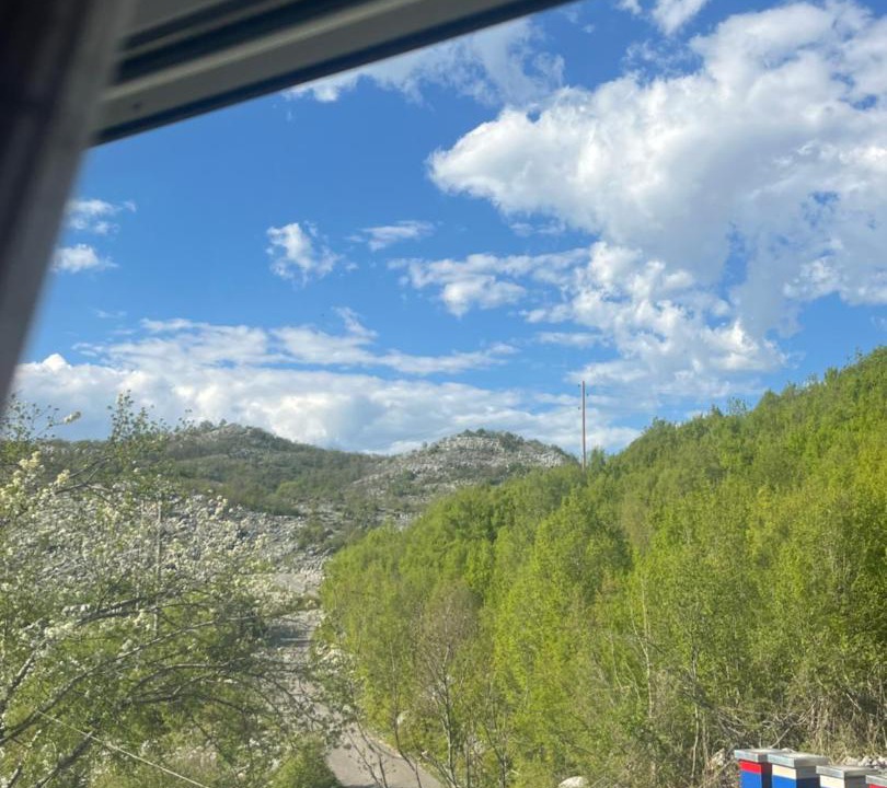 Photo of Others in Cetinje Municipality