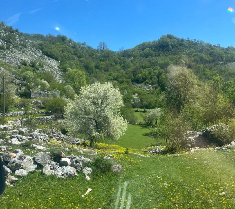 Photo of Others in Cetinje Municipality