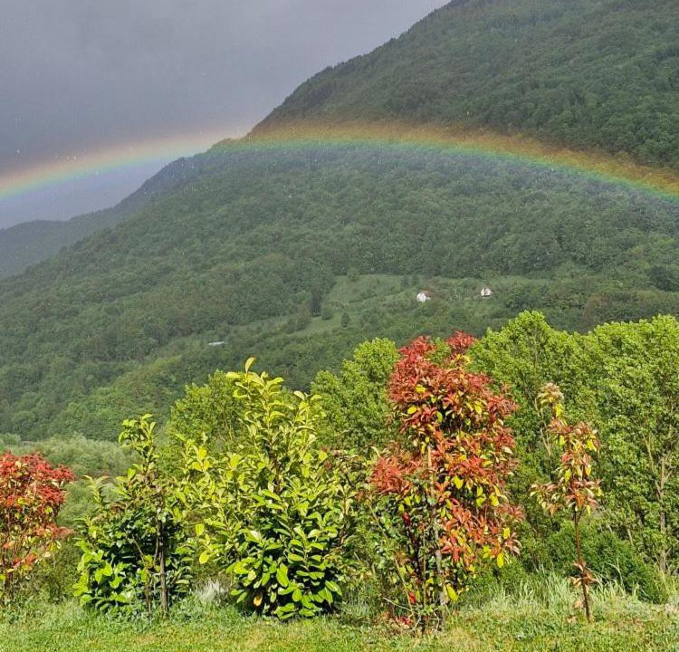 Photo of Others in Montenegro
