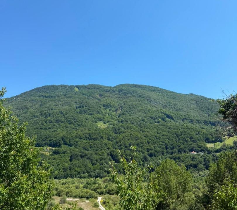 Photo of Others in Montenegro
