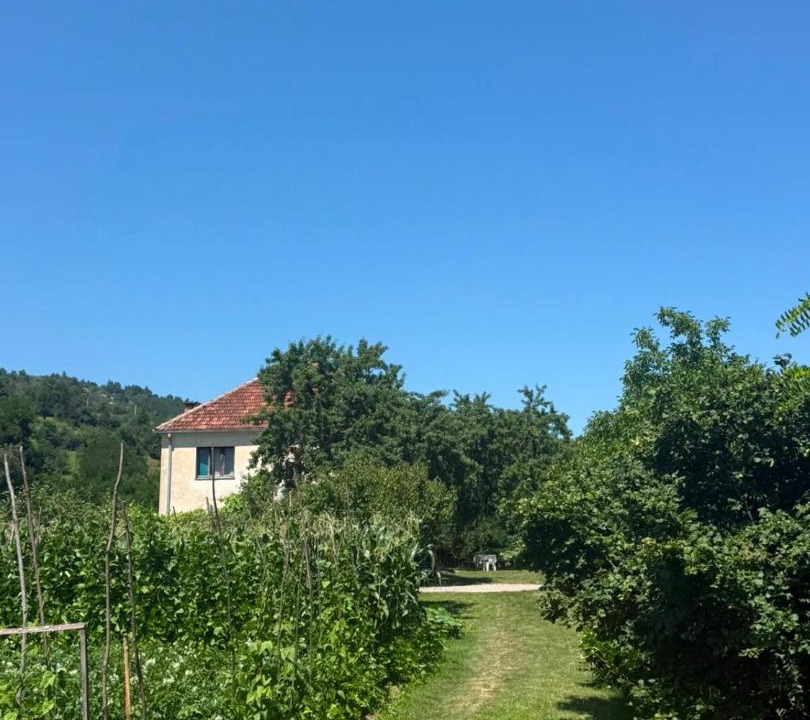Photo of Others in Montenegro