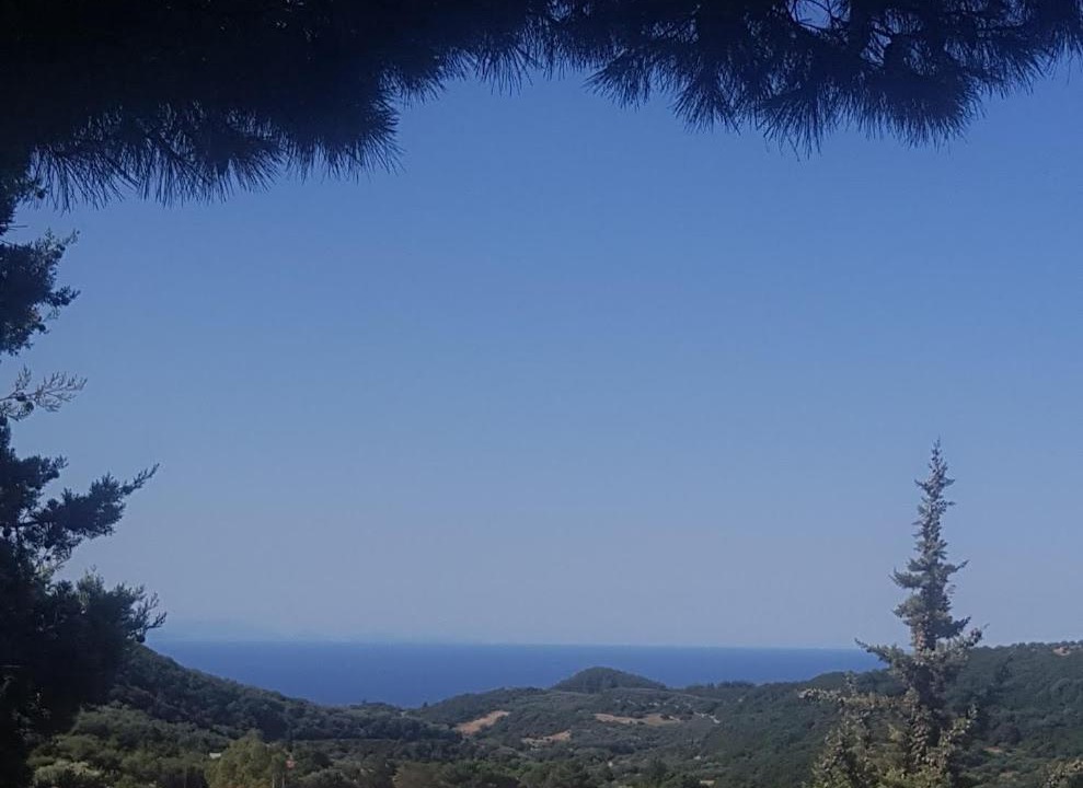 Photo of Others in Zalongo