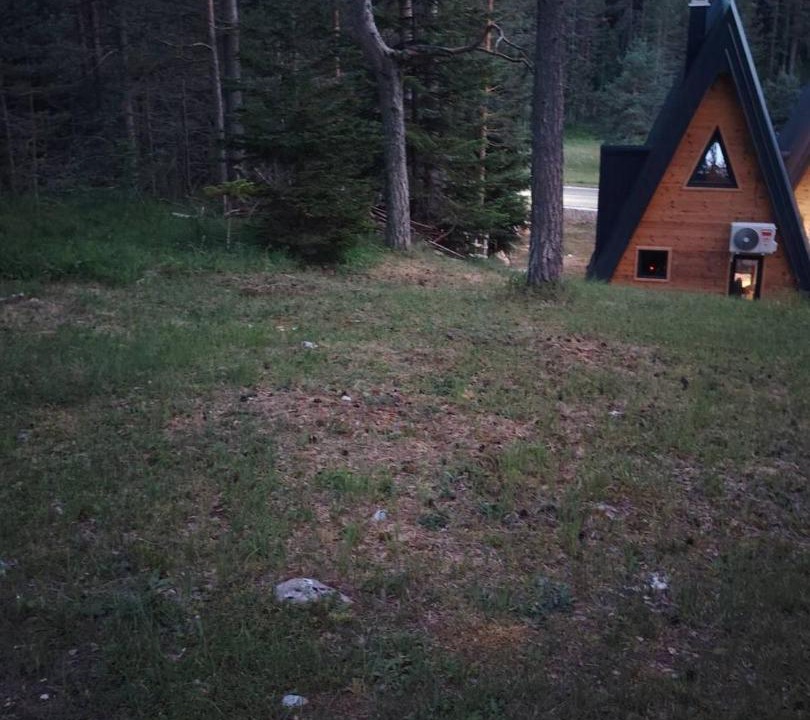 Photo of Others in Zabljak
