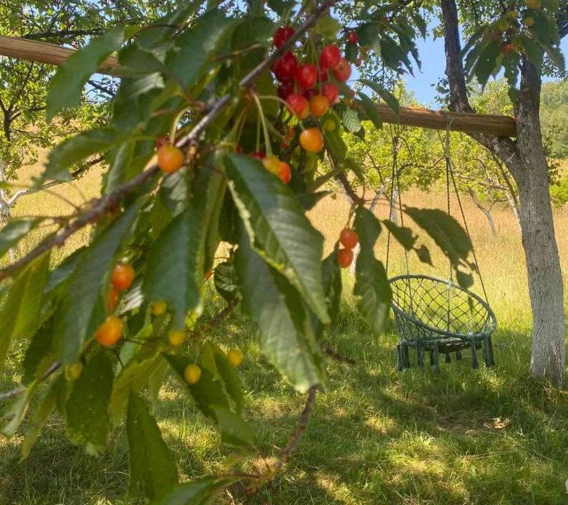 Photo of Others in Montenegro