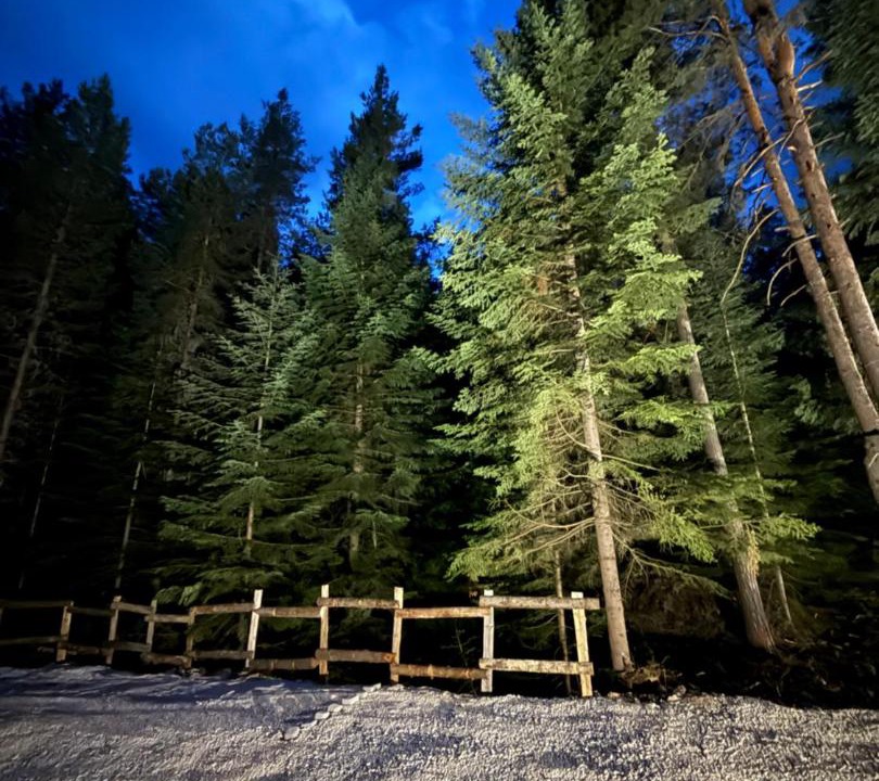 Photo of Others in Zabljak