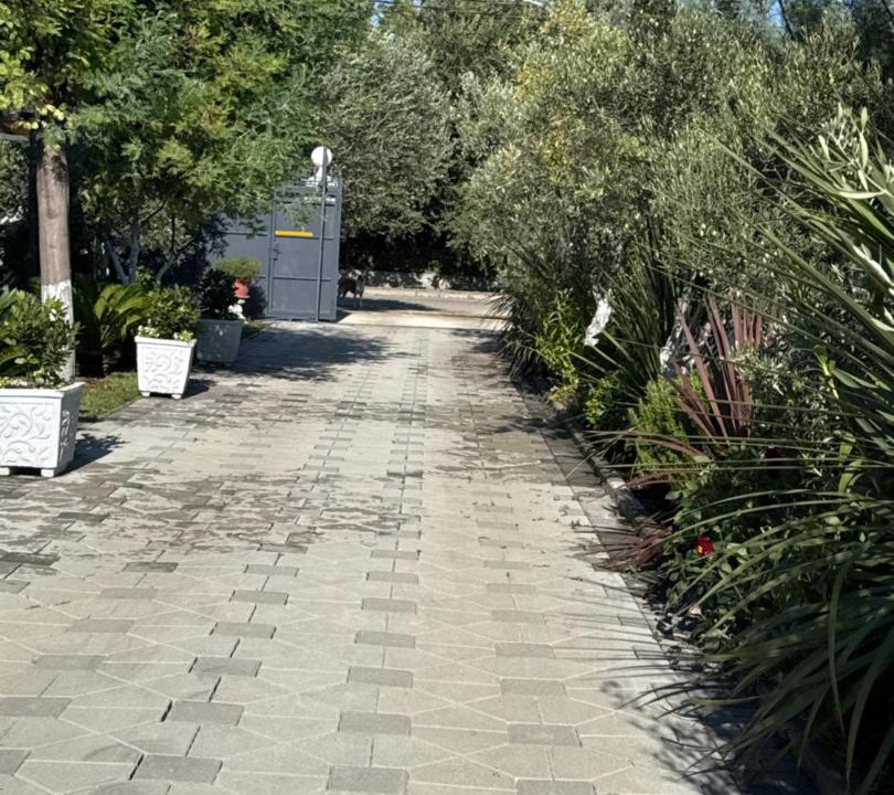 Photo of Others in Sakës
