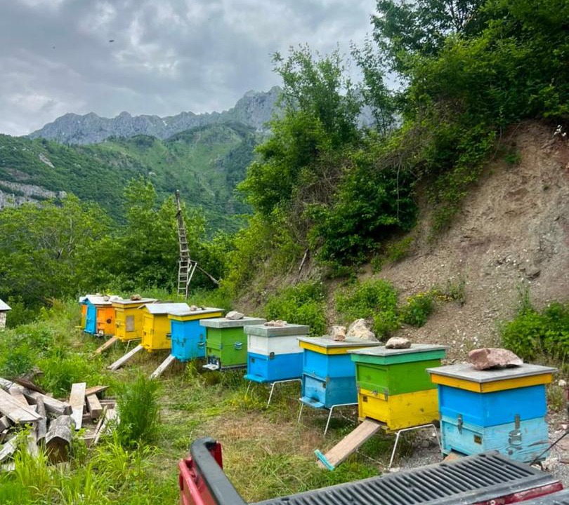 Photo of Others in Sakës