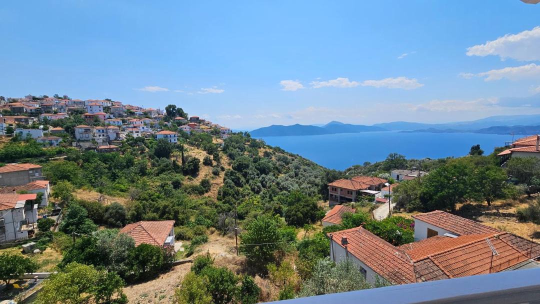 Photo of Others in Trikeri