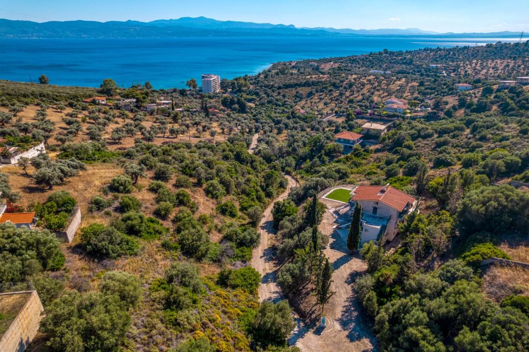 Photo of Others in Eretria