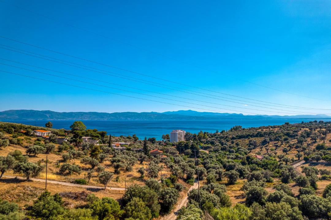 Photo of Others in Eretria