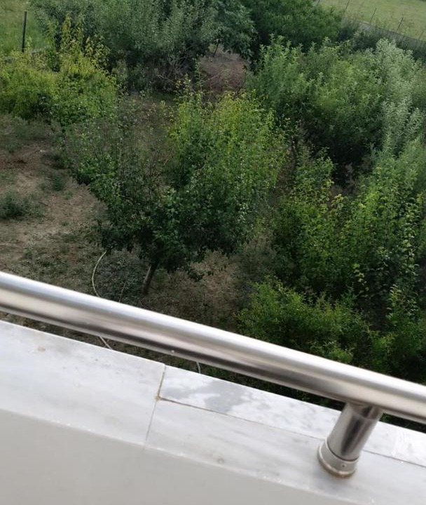 Photo of Others in Qerek