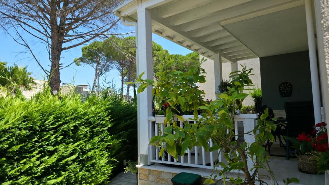Photo of Patio Balcony in Ishem