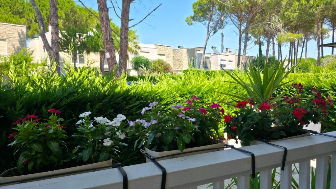 Photo of Patio Balcony in Ishem