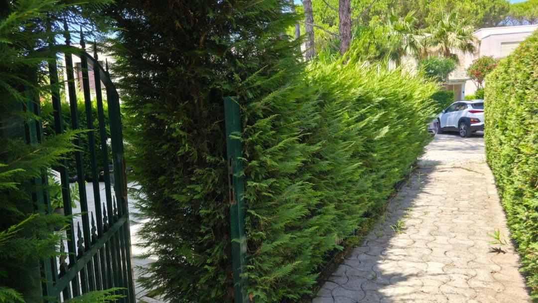 Photo of Outdoor in Ishem