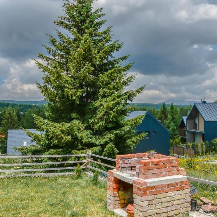 Photo of Others in Zabljak