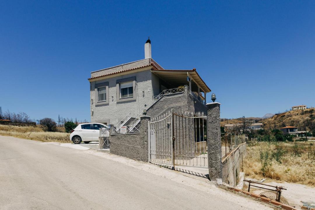Photo of Others in Volissos