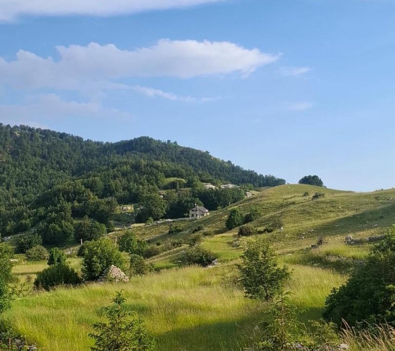 Photo of Others in Cetinje