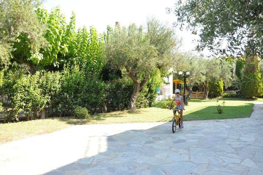 Photo of Outdoor in Sarakiniko