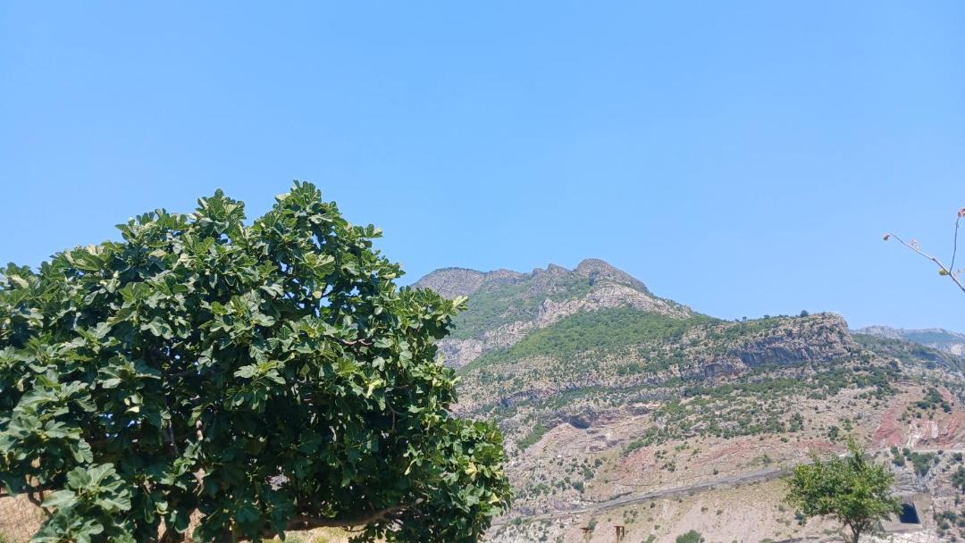 Photo of Others in Shkoder County