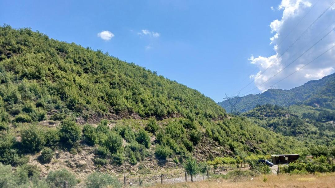 Photo of Others in Shkoder County