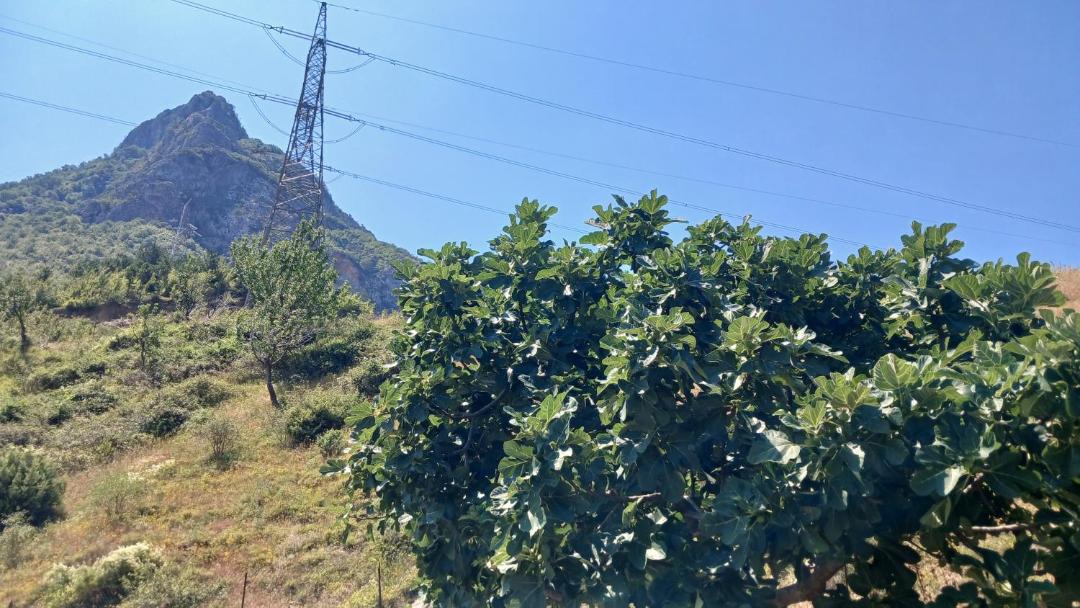 Photo of Others in Shkoder County