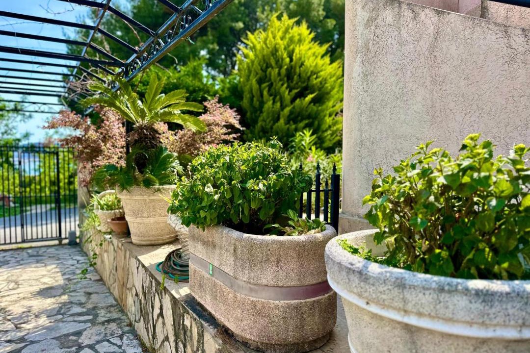 Photo of Patio Balcony in Susanj
