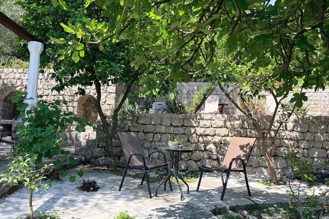 Photo of Others in Morinj