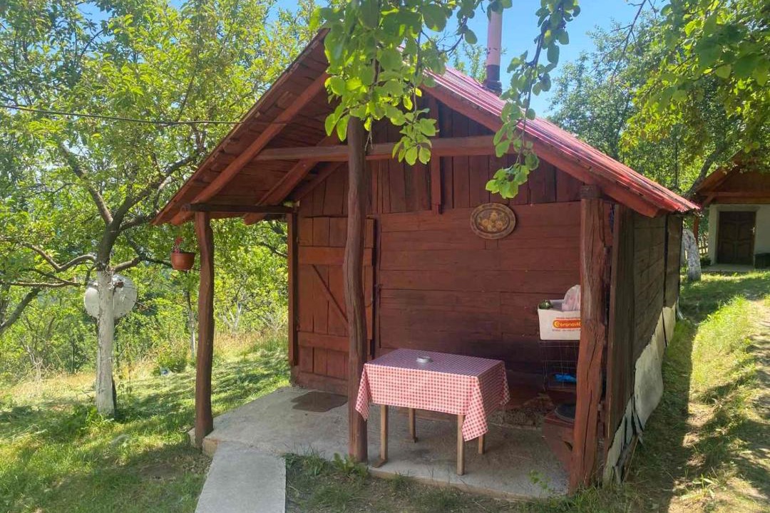 Photo of Others in Montenegro