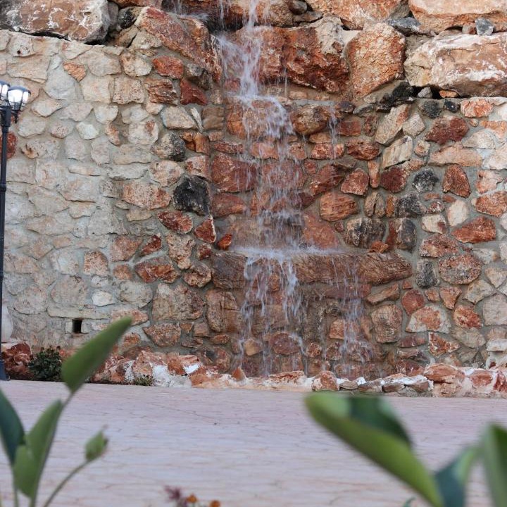 Photo of Others in Jala