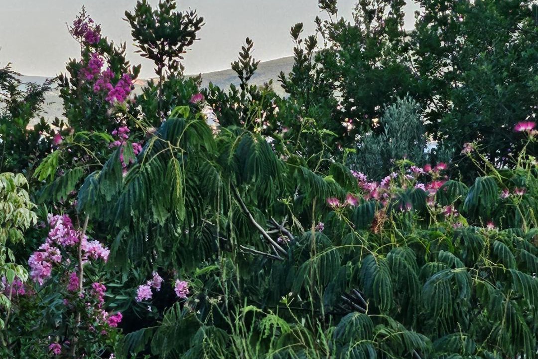Photo of Outdoor in Baosici