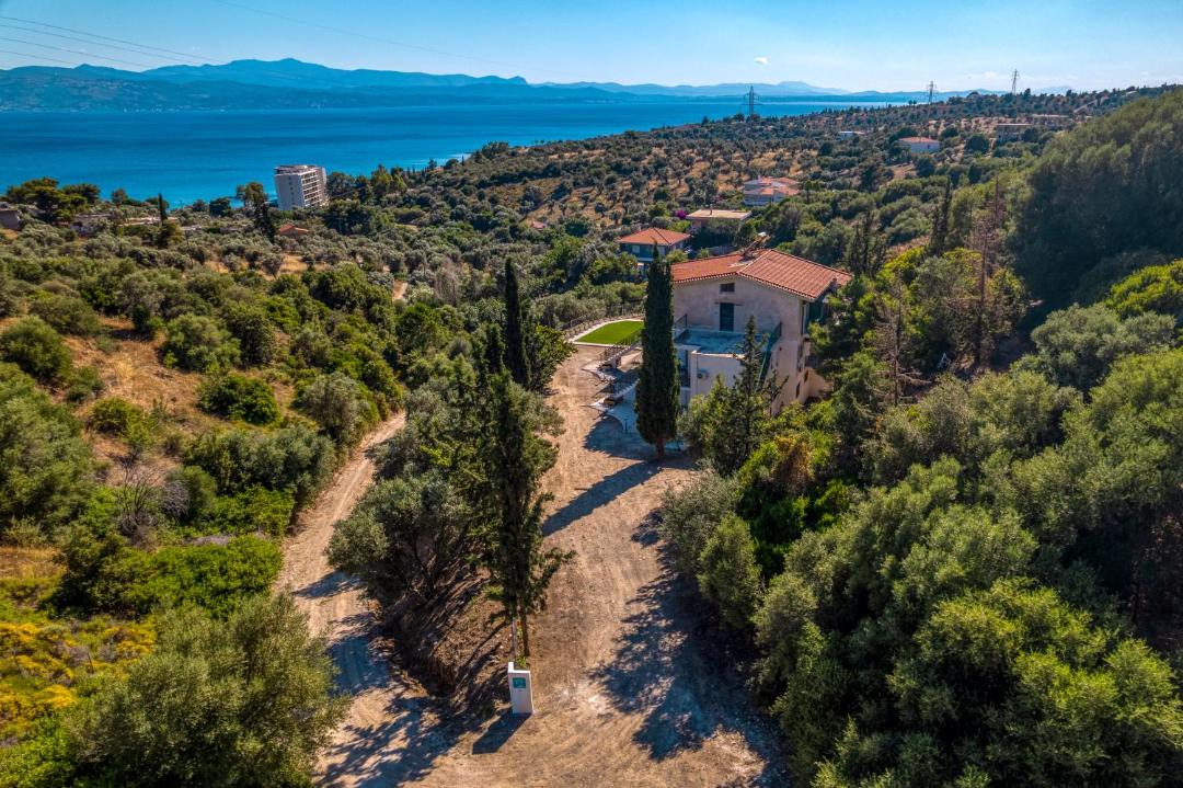 Photo of Others in Eretria