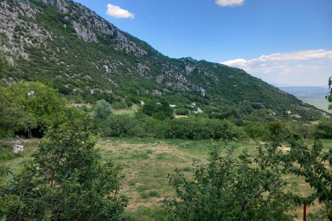 Photo of Others in Danilovgrad